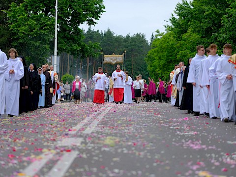 Zdjęcie 29 z 48