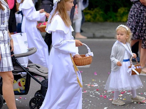Zdjęcie 44 z 48