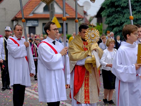 Zdjęcie 37 z 48