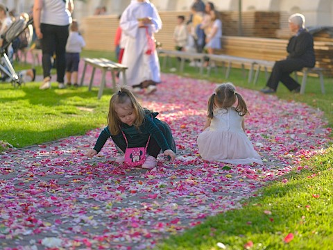 Zdjęcie 10 z 48