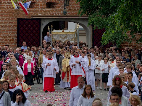 Zdjęcie 3 z 48
