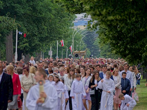 Zdjęcie 5 z 48