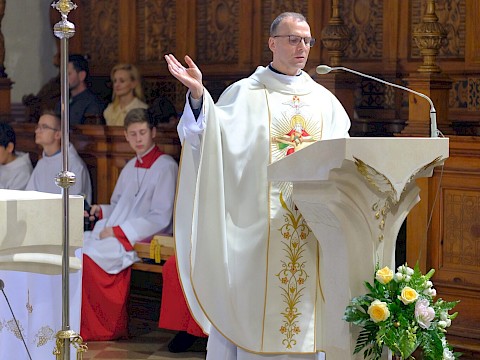Zdjęcie 16 z 39