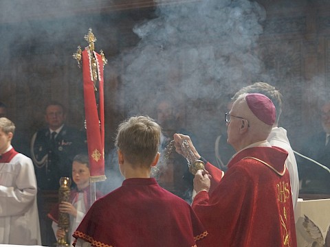 Zdjęcie 10 z 18