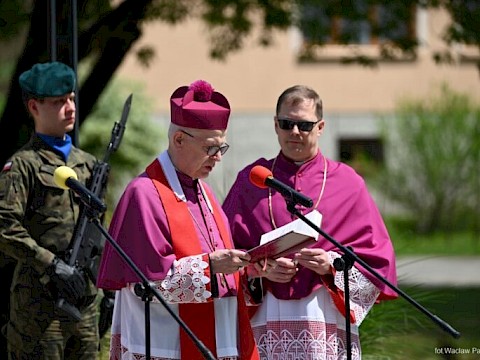 Zdjęcie 15 z 18