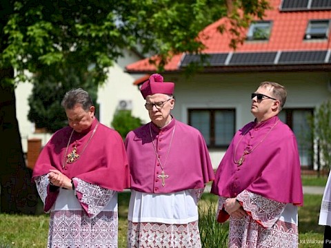 Zdjęcie 14 z 18