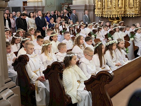 Zdjęcie 16 z 20