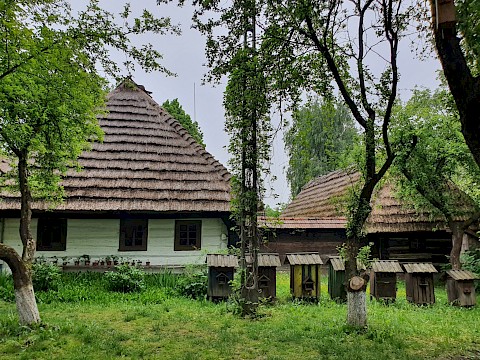 Zdjęcie 6 z 45