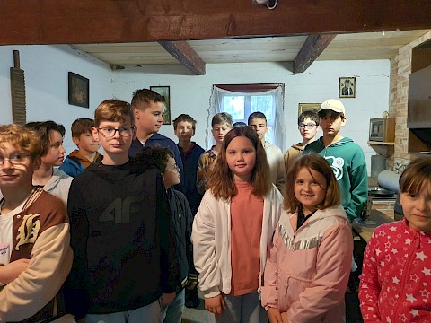Zdjęcie 7 z 45