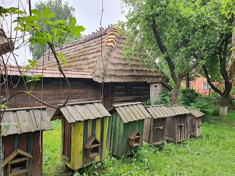 Zdjęcie 8 z 45
