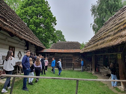 Zdjęcie 14 z 45