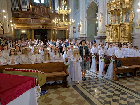 Zdjęcie 13 z 19