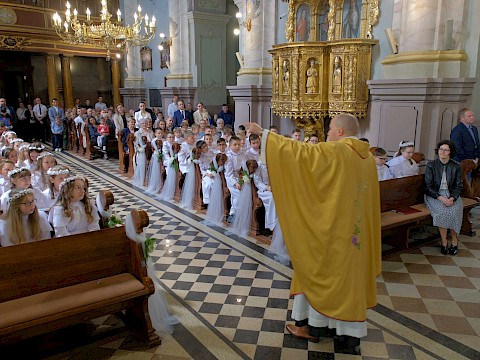 Zdjęcie 6 z 19