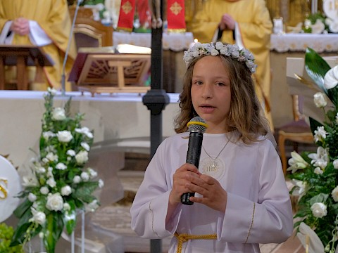 Zdjęcie 11 z 19