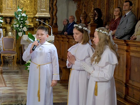 Zdjęcie 12 z 19