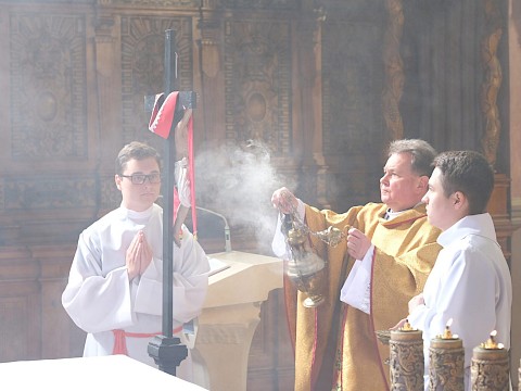 Zdjęcie 13 z 14