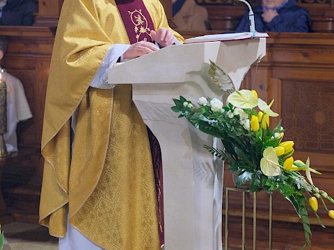 Zdjęcie 25 z 26