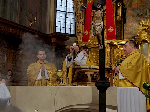 Zdjęcie 12 z 26