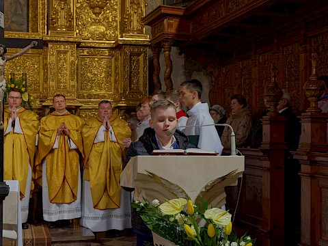 Zdjęcie 11 z 22