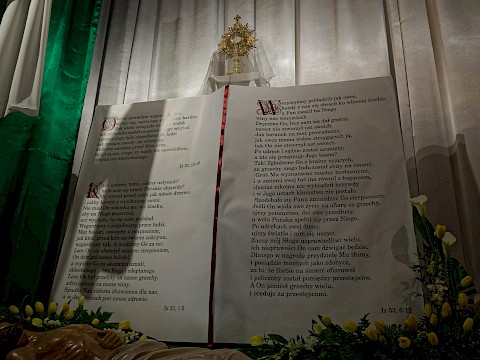 Zdjęcie 12 z 22