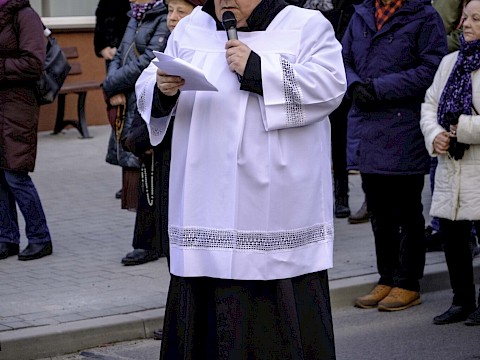 Zdjęcie 26 z 28