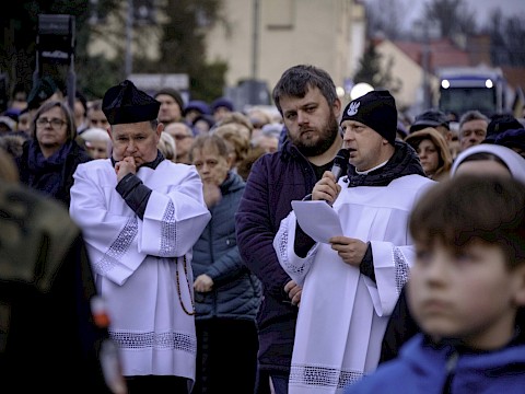 Zdjęcie 20 z 28