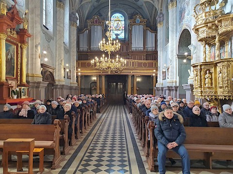Zdjęcie 5 z 21