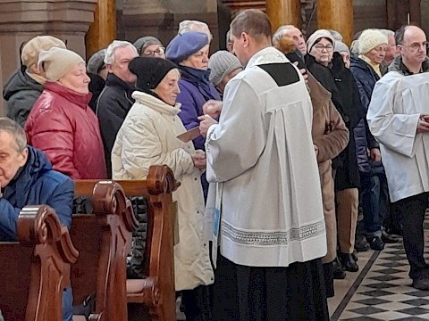 Zdjęcie 13 z 21