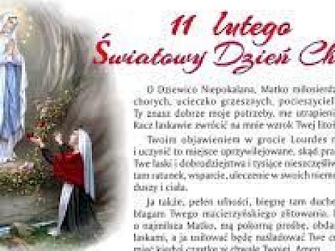 Zdjęcie 21 z 21