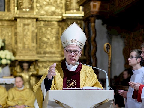 Zdjęcie 16 z 27