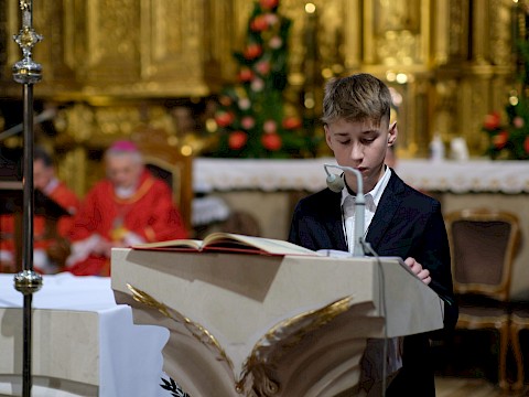Zdjęcie 14 z 28