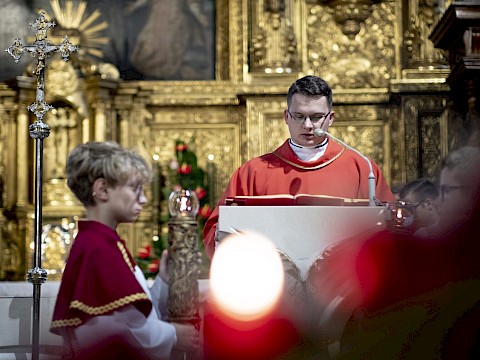 Zdjęcie 15 z 28