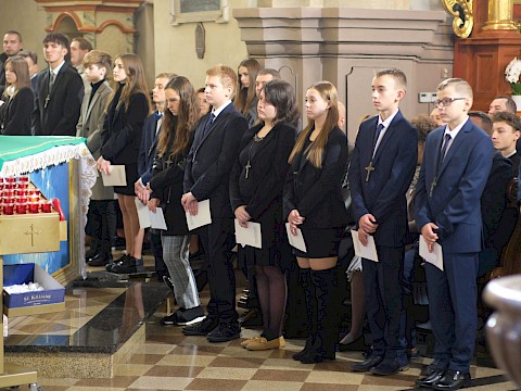 Zdjęcie 17 z 28