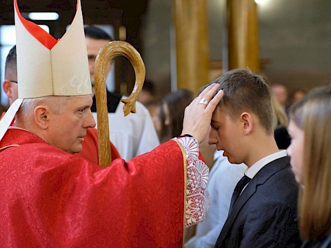 Zdjęcie 25 z 28