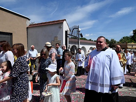 Zdjęcie 24 z 180