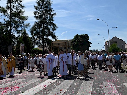 Zdjęcie 51 z 180