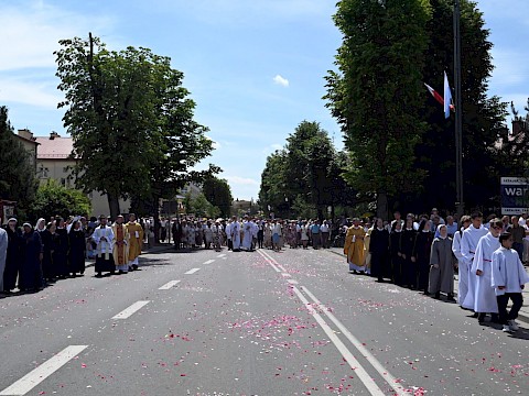 Zdjęcie 76 z 180