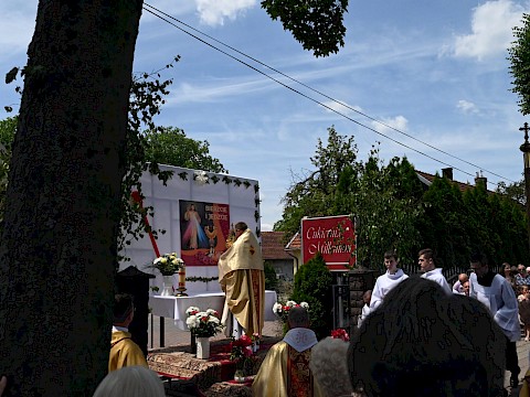 Zdjęcie 109 z 180