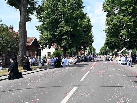 Zdjęcie 116 z 180