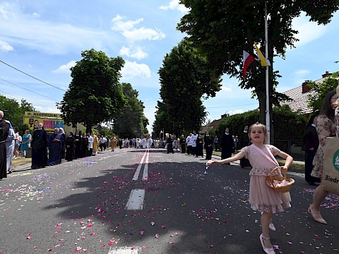 Zdjęcie 121 z 180