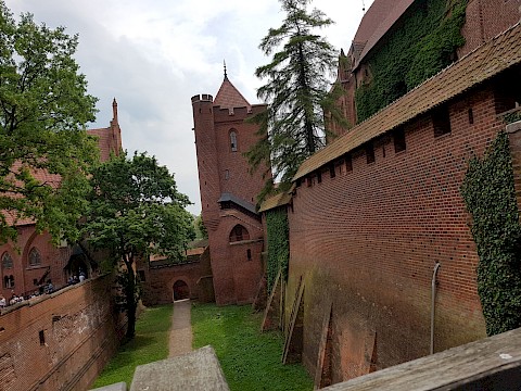 Zdjęcie 8 z 23