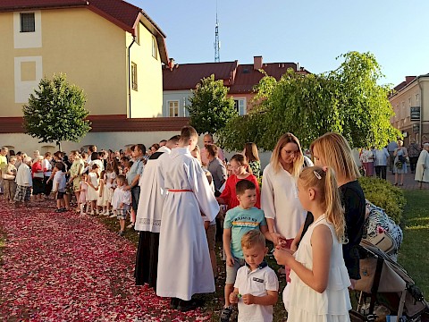 Zdjęcie 19 z 49