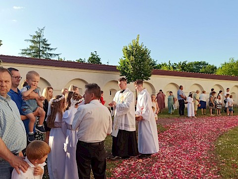 Zdjęcie 24 z 49