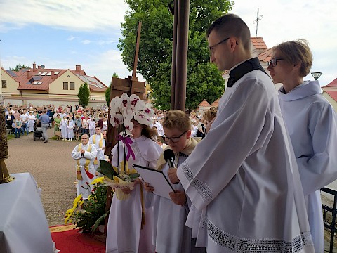 Zdjęcie 366 z 373