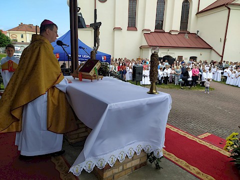 Zdjęcie 355 z 373