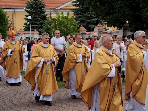 Zdjęcie 14 z 373