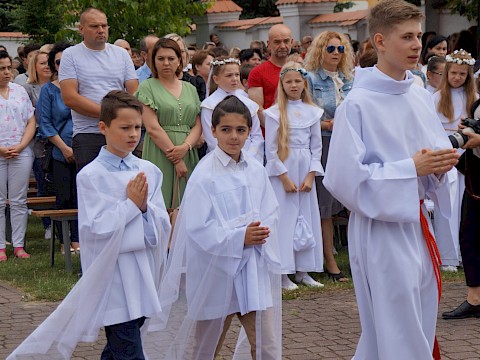 Zdjęcie 16 z 373