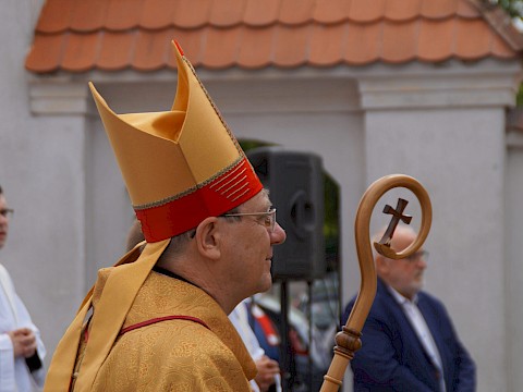 Zdjęcie 17 z 373