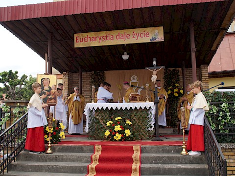 Zdjęcie 18 z 373