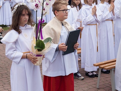 Zdjęcie 21 z 373